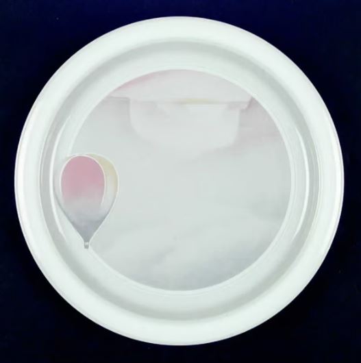 Free Flight (B981) by Noritake China