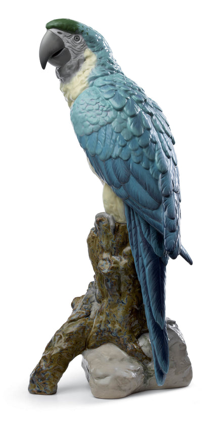 Macaw Bird by Lladró