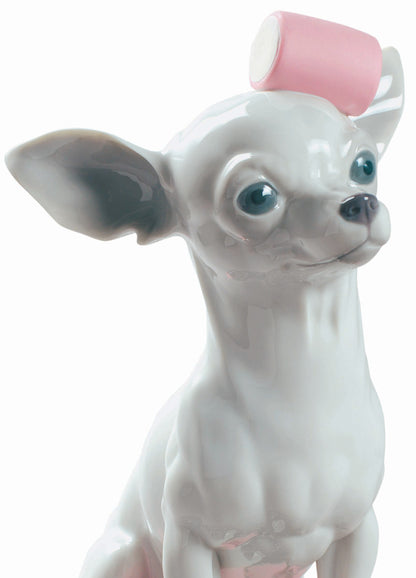 Chihuahua With Marshmallows by Lladró