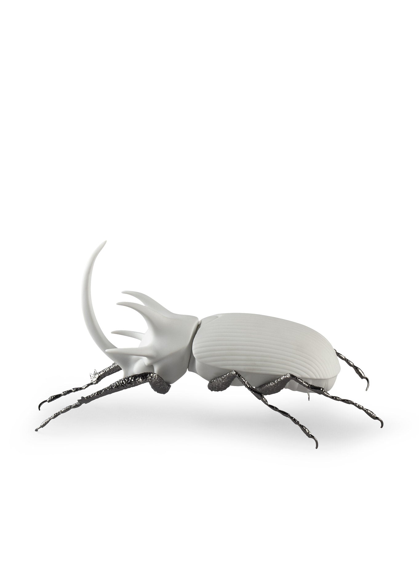 Rhinoceros Beetle (Matte White) by Lladró