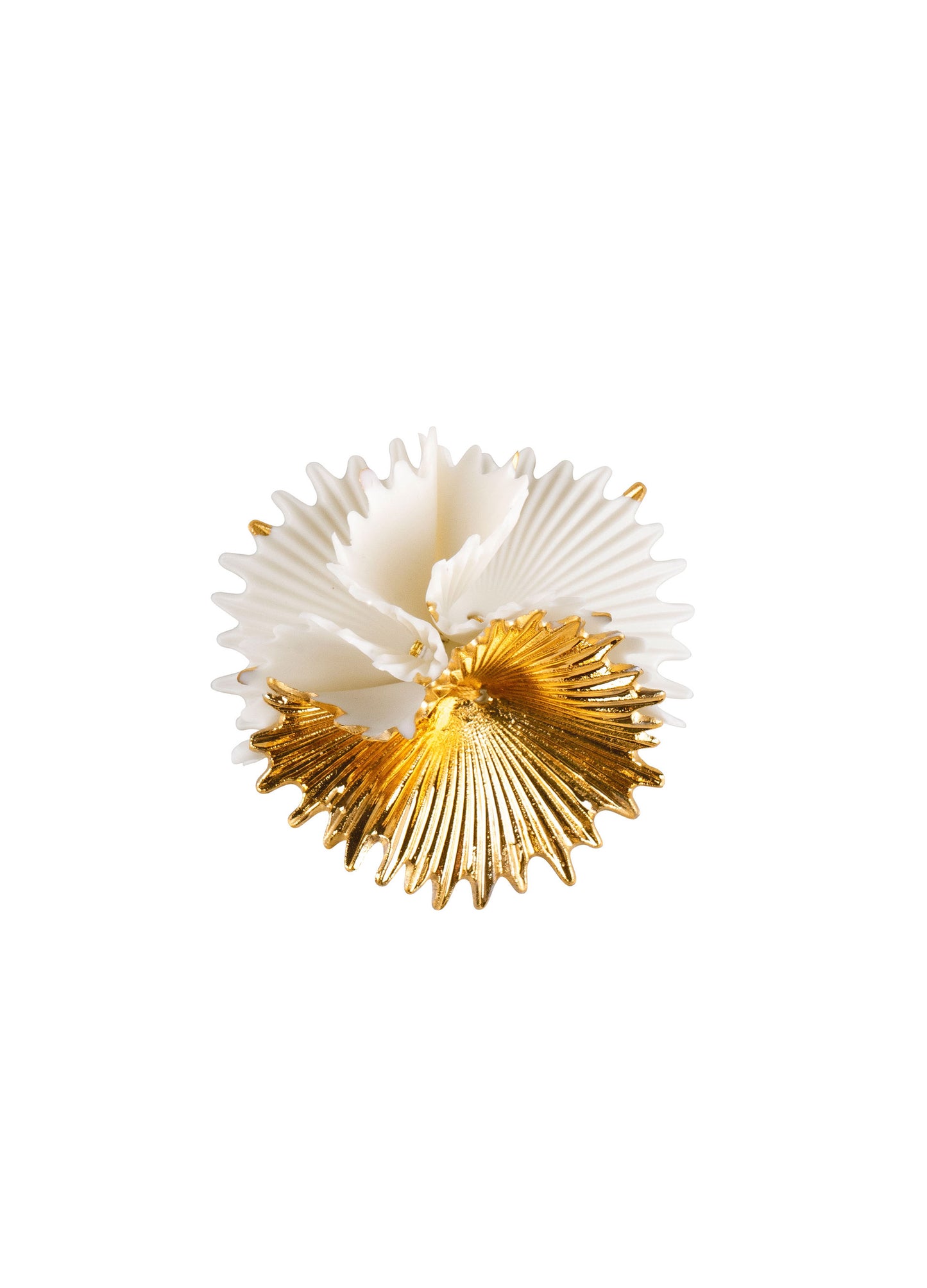 Actinia Brooch (White-Gold) by Lladró