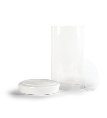 Glass Dome + Base Haute Allure