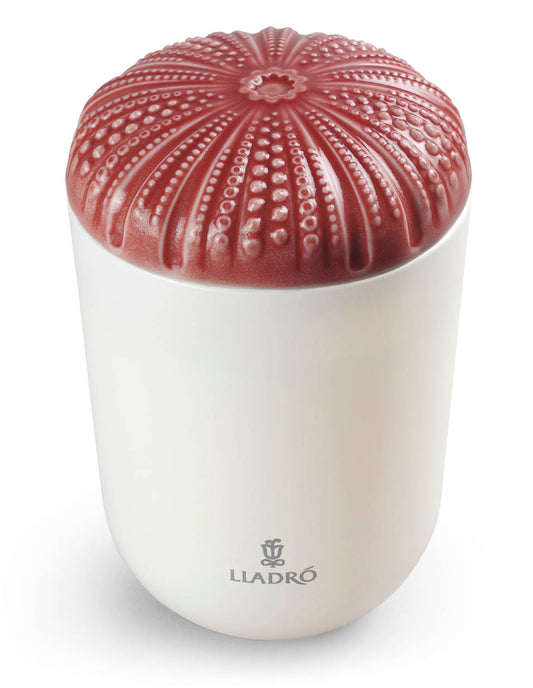 Echoes Of Nature Candle-Mediterranean Beach by Lladró