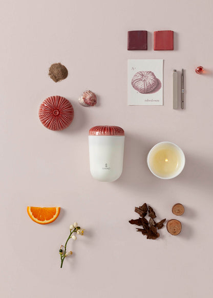 Echoes Of Nature Candle-Mediterranean Beach by Lladró