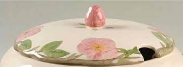 Desert Rose (England and Portugal Backstamp) by Franciscan China