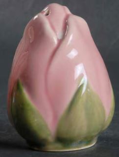 Desert Rose (USA Backstamp) by Franciscan China