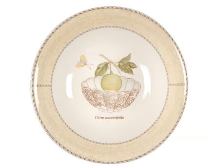 Sarah's Garden by Wedgwood China